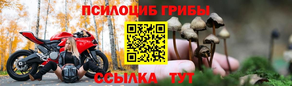Галлюциногенные грибы Psilocybe  наркотики  Вход с VPN  Мыски  Галлюциногенные грибы Magic Shrooms 